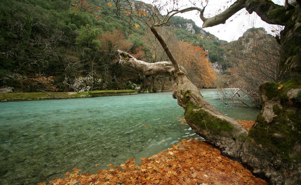 Archontiko Dilofo 호텔 외부 사진